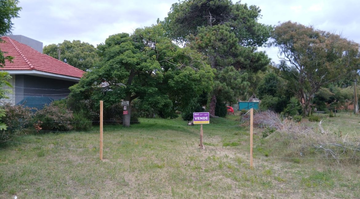 WhatsApp Image 2026-01-03 at 15.00.07