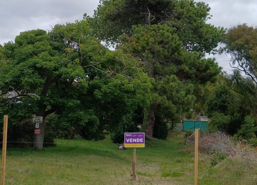 WhatsApp Image 2026-01-03 at 15.00.08