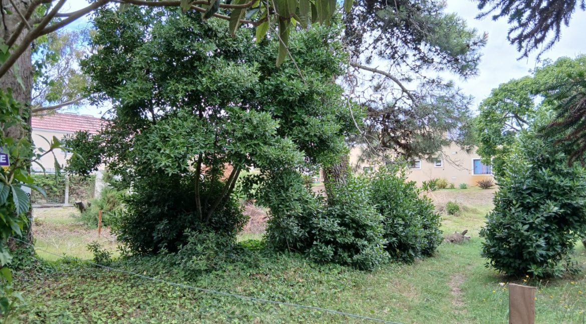 WhatsApp Image 2026-01-03 at 15.02.33 (1)