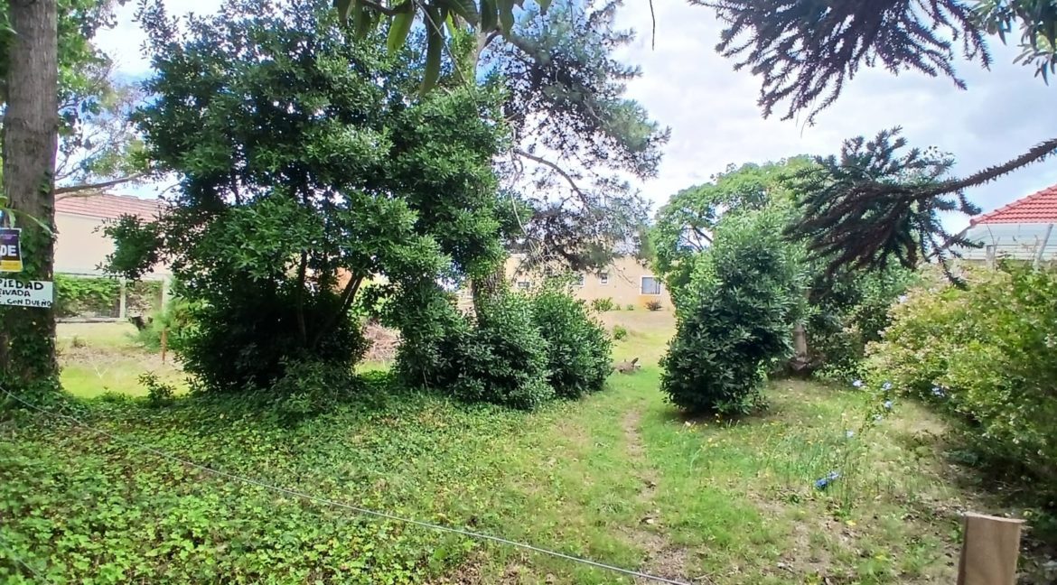 WhatsApp Image 2026-01-03 at 15.02.33