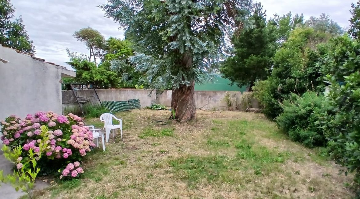 WhatsApp Image 2025-12-06 at 19.39.17