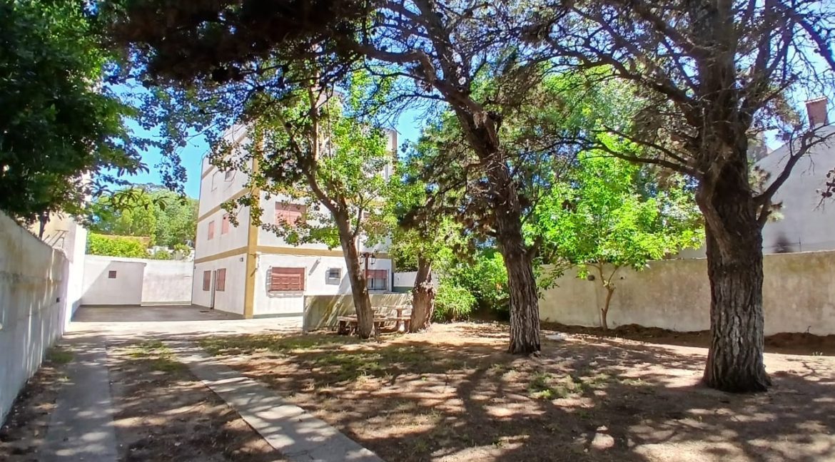 WhatsApp Image 2025-12-28 at 4.46.53 PM