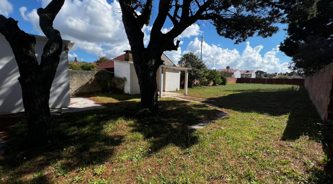 WhatsApp Image 2026-04-12 at 11.56.03