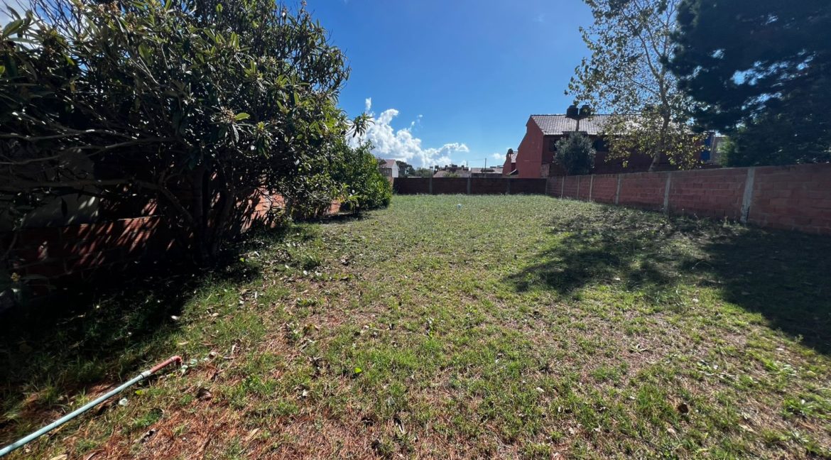 WhatsApp Image 2026-04-12 at 11.56.04 (3)