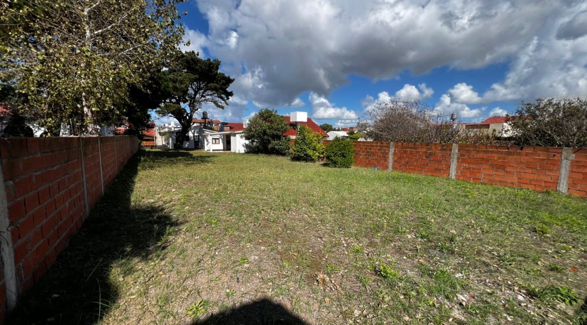 WhatsApp Image 2026-04-12 at 11.56.05