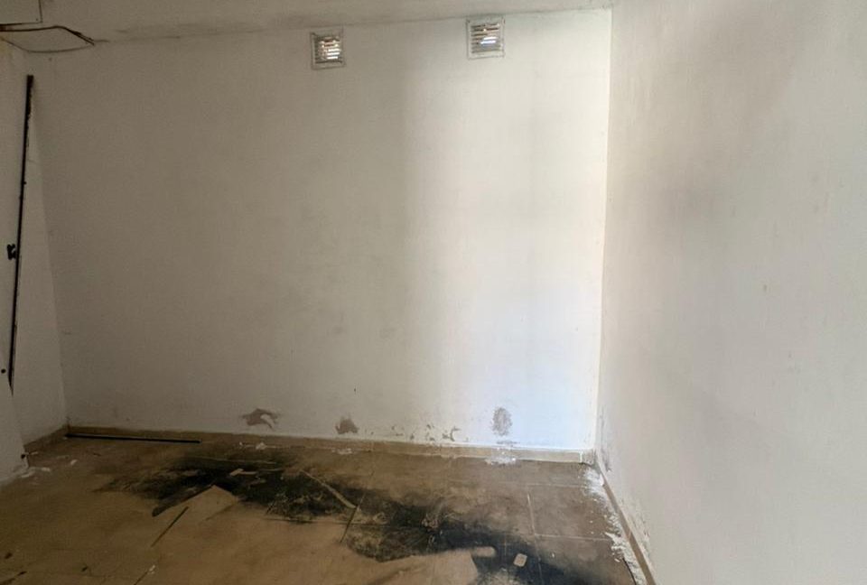 WhatsApp Image 2026-02-18 at 6.37.20 PM (4)