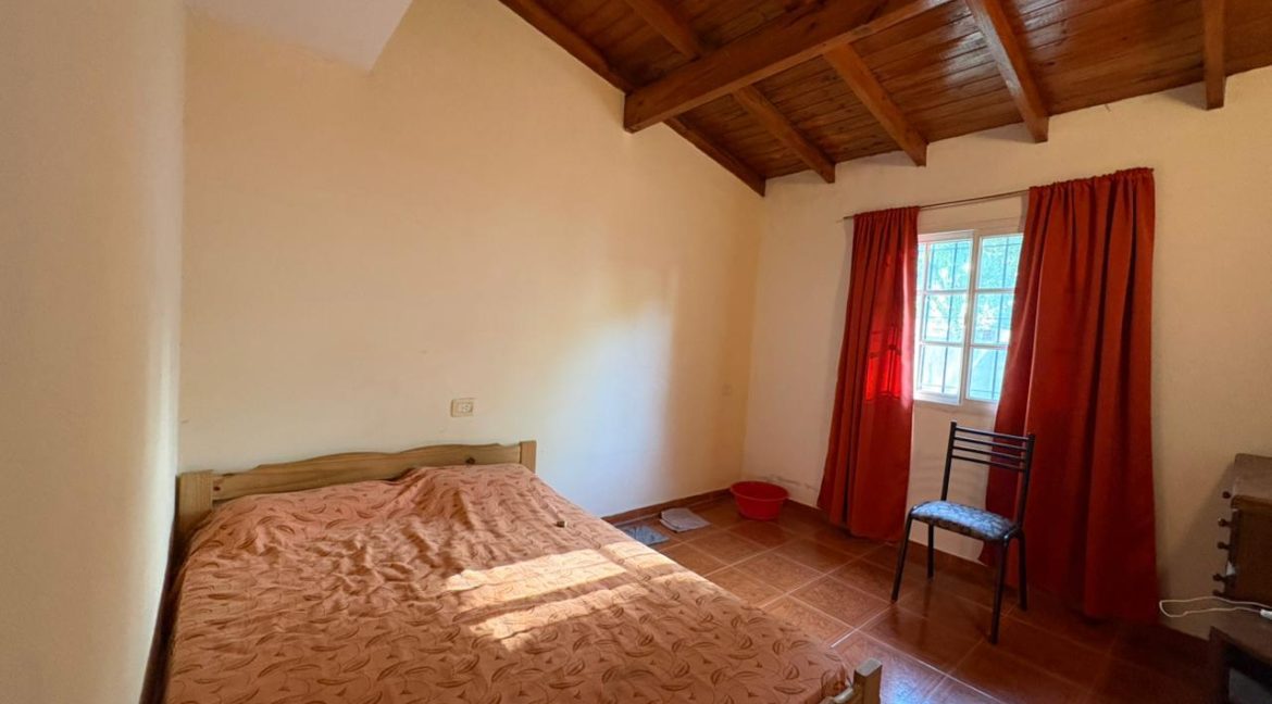 WhatsApp Image 2026-02-12 at 17.37.04