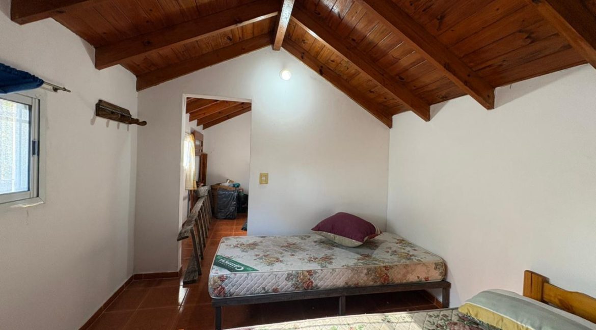 WhatsApp Image 2026-02-12 at 17.37.06 (1)