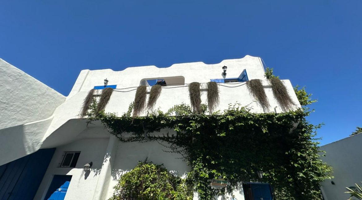 WhatsApp Image 2026-01-16 at 10.40.50 (3)