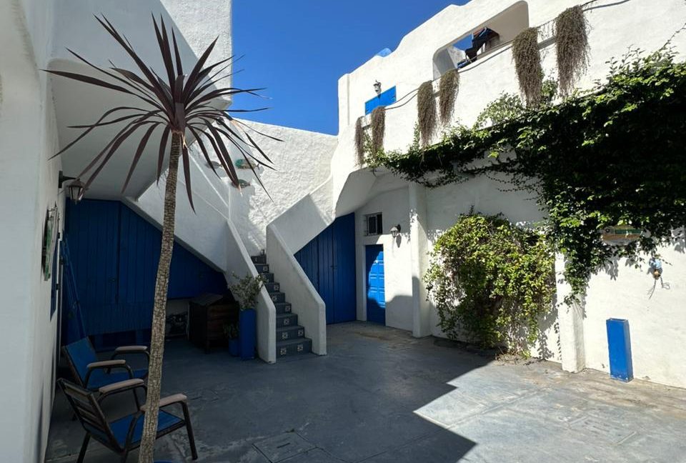 WhatsApp Image 2026-01-16 at 10.40.50