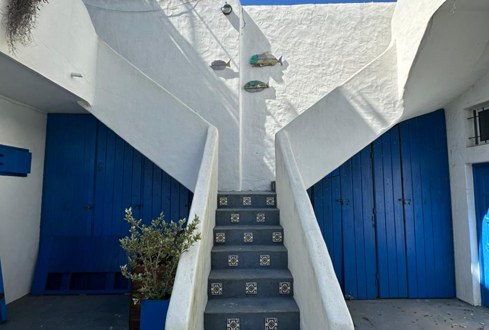 WhatsApp Image 2026-01-16 at 10.40.52