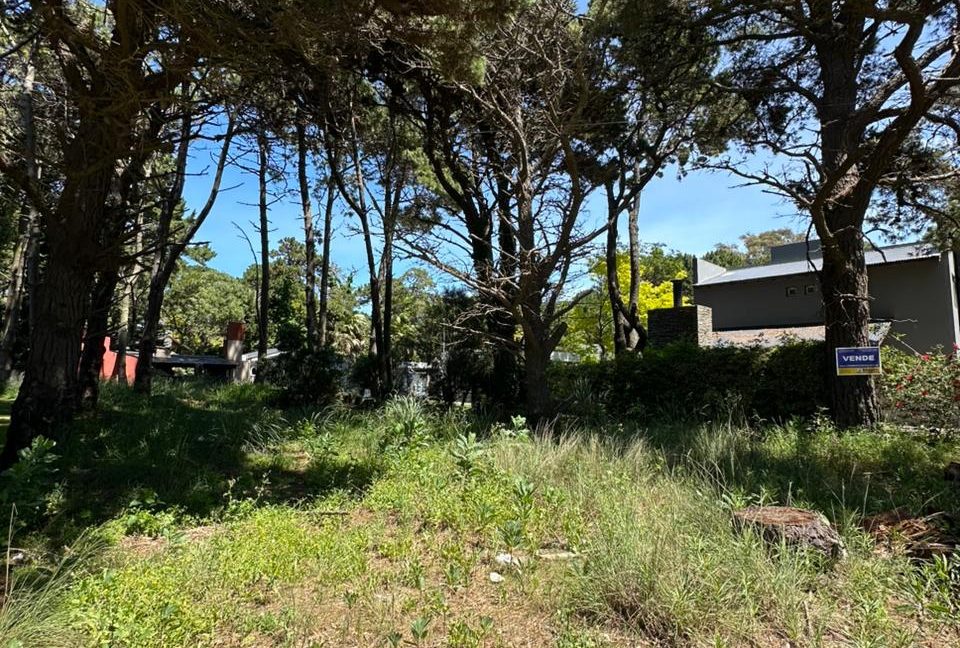 WhatsApp Image 2025-10-30 at 12.47.39 (2)