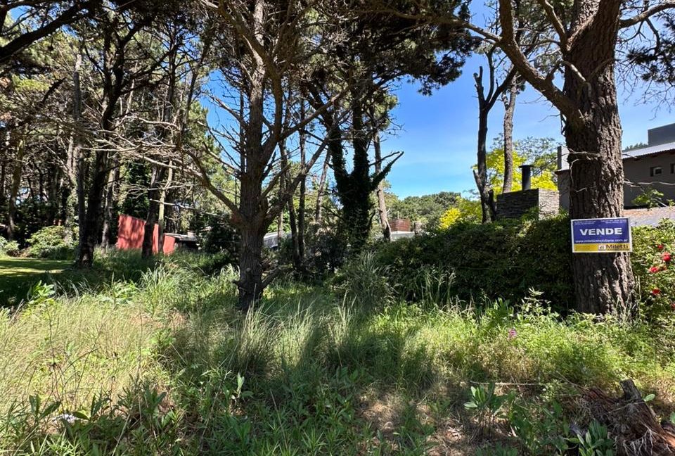 WhatsApp Image 2025-10-30 at 12.47.39 (3)