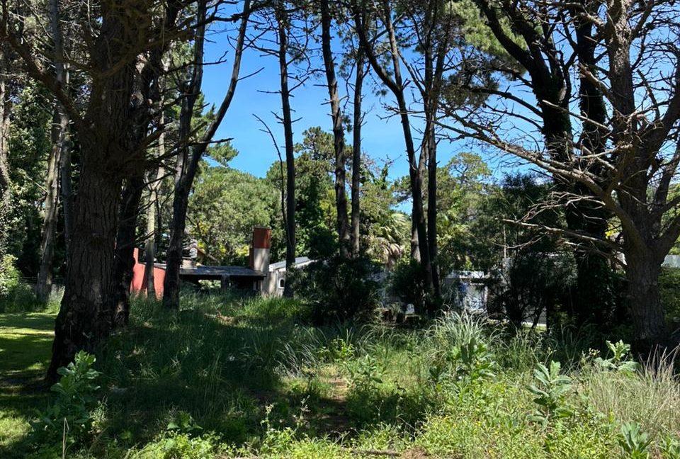 WhatsApp Image 2025-10-30 at 12.47.40 (1)