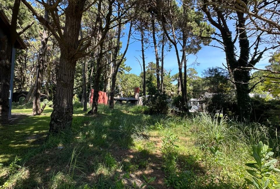 WhatsApp Image 2025-10-30 at 12.47.40