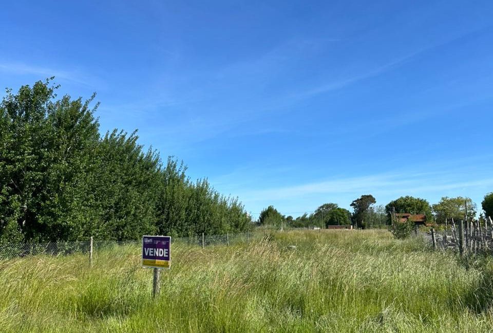 WhatsApp Image 2025-11-23 at 16.58.45 (1)