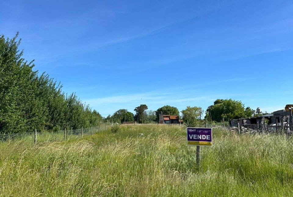 WhatsApp Image 2025-11-23 at 16.58.45 (2)