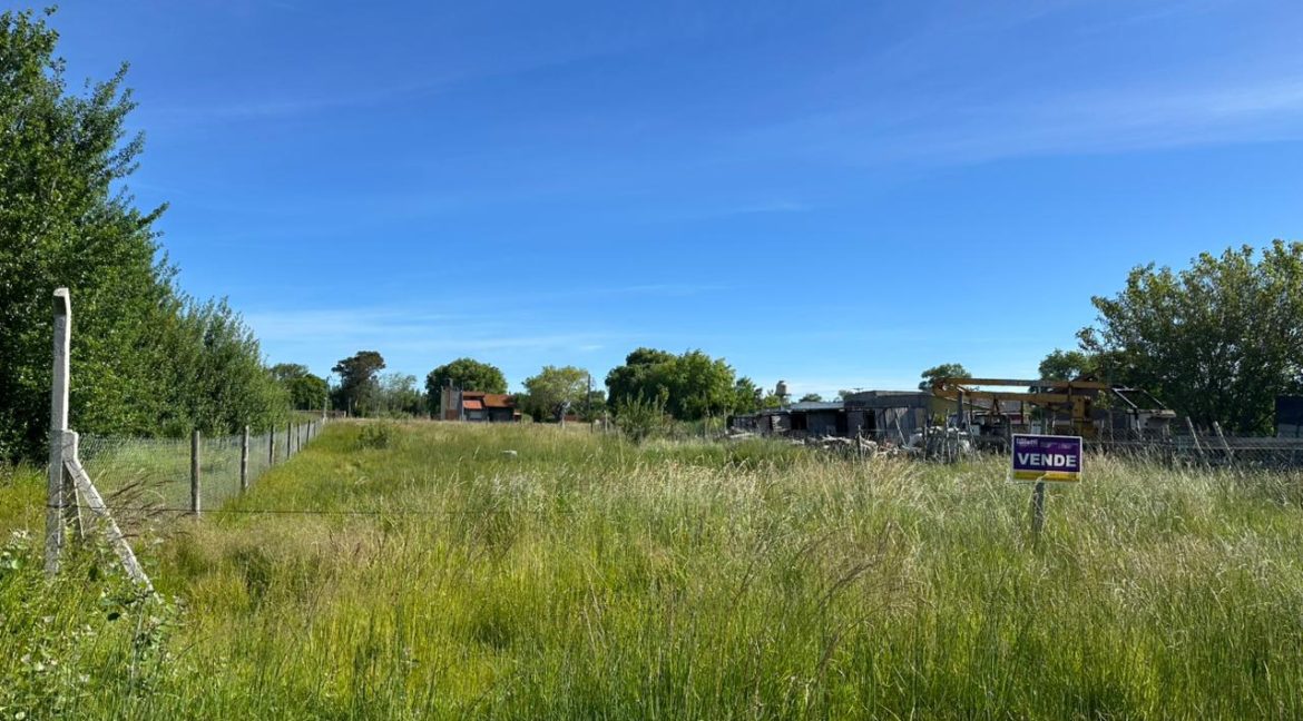 WhatsApp Image 2025-11-23 at 16.58.46 (1)