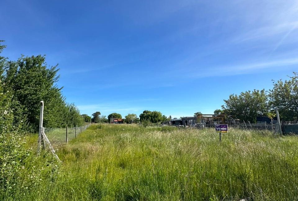 WhatsApp Image 2025-11-23 at 16.58.46