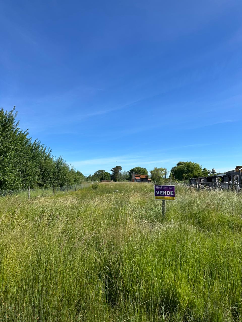 Calle 59 e/ 11 y 12, Mar del Tuyú (160811)