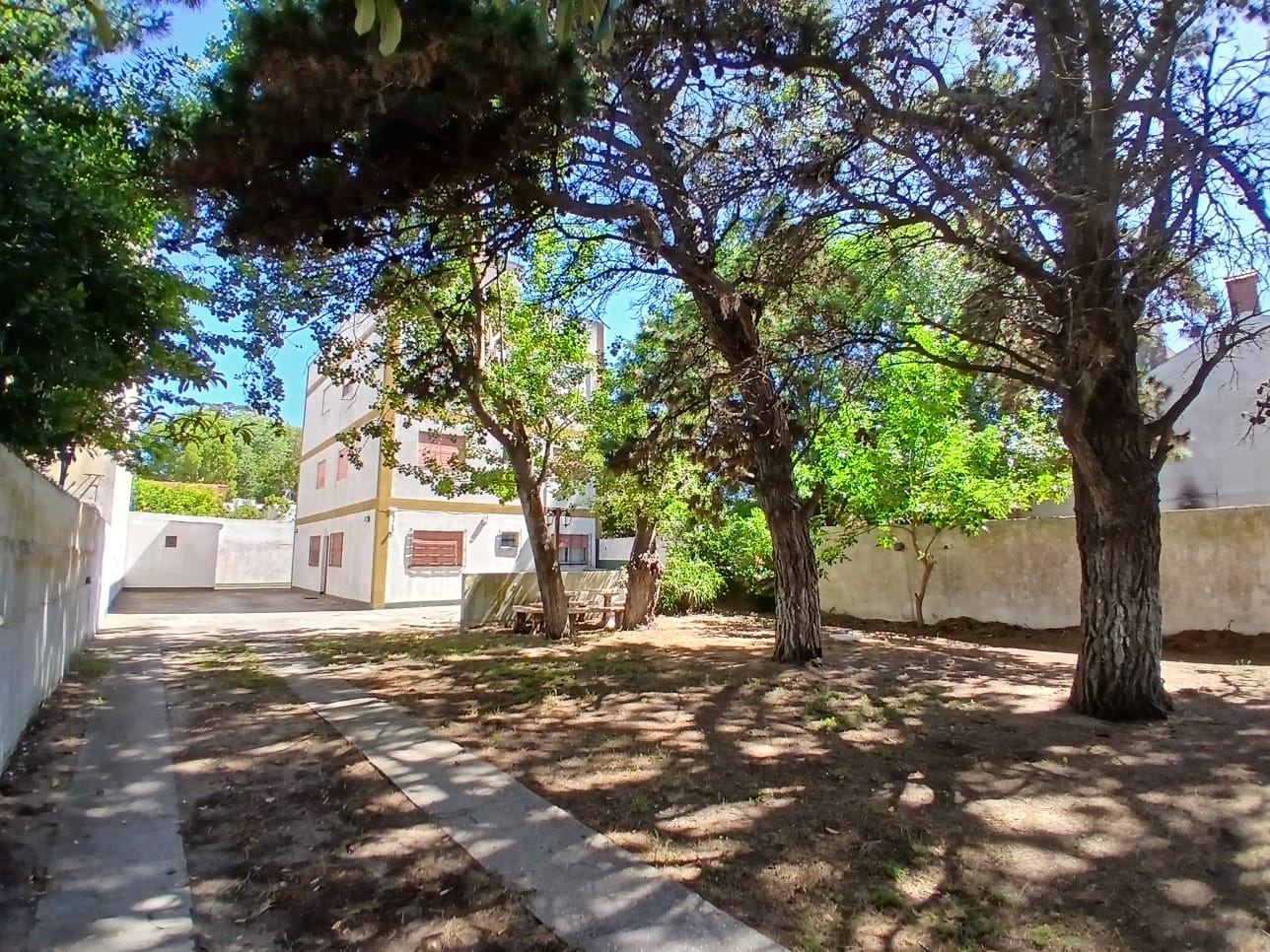 55 nº 338 Dto , Mar del tuyu (201016)