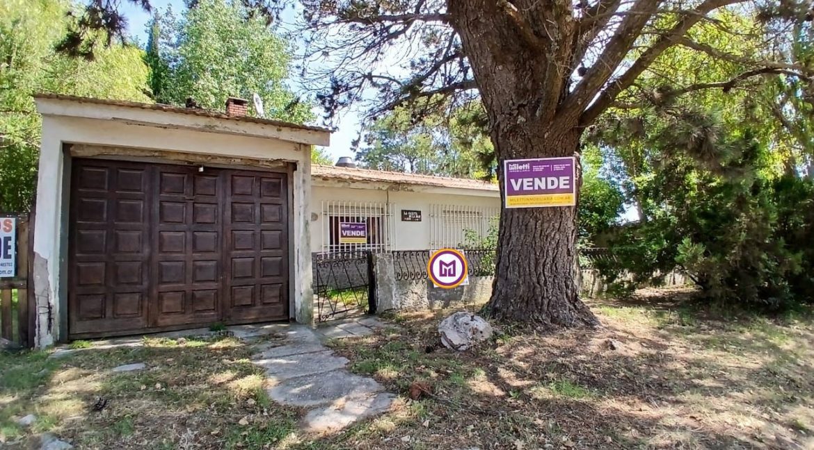 Diseño sin título (23)