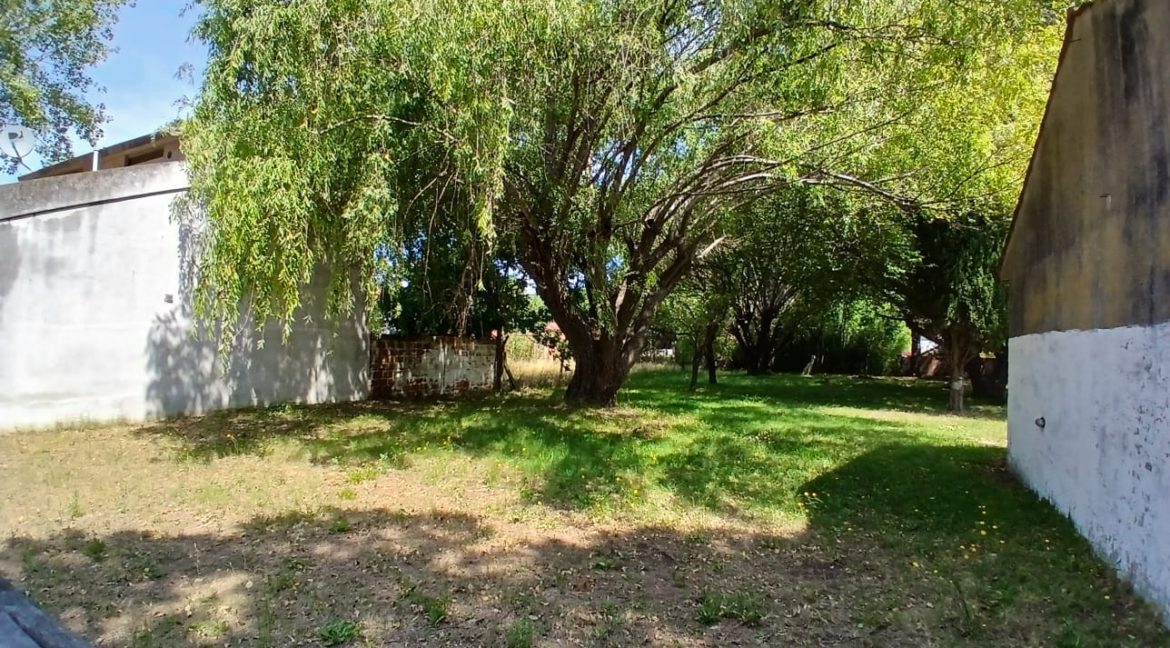 WhatsApp Image 2026-01-08 at 3.07.17 PM (1)