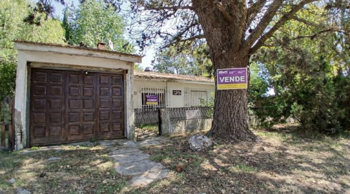 WhatsApp Image 2026-02-28 at 4.39.48 PM