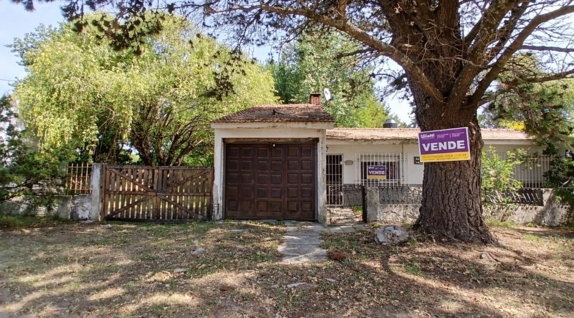 WhatsApp Image 2026-02-28 at 4.39.49 PM