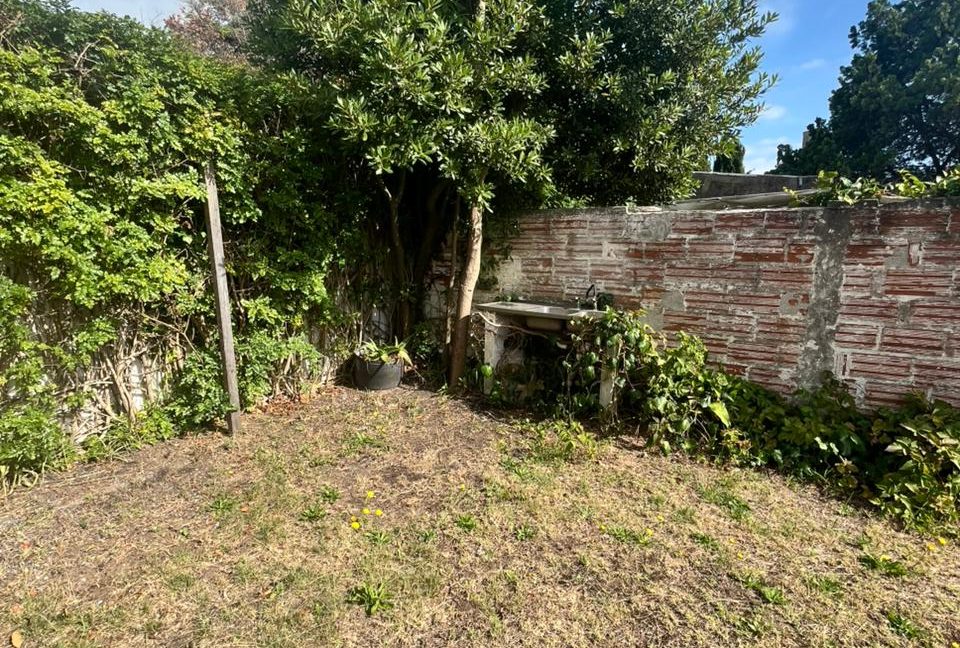 WhatsApp Image 2026-02-03 at 12.05.02