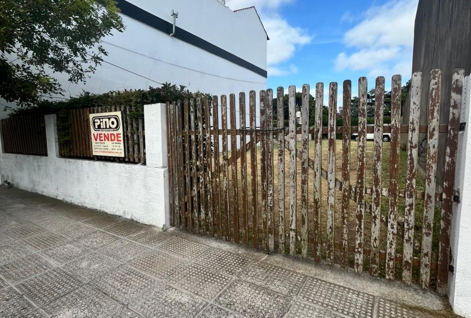 WhatsApp Image 2026-02-03 at 12.05.04 (2)