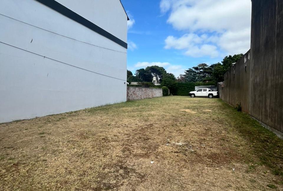 WhatsApp Image 2026-02-03 at 12.05.04