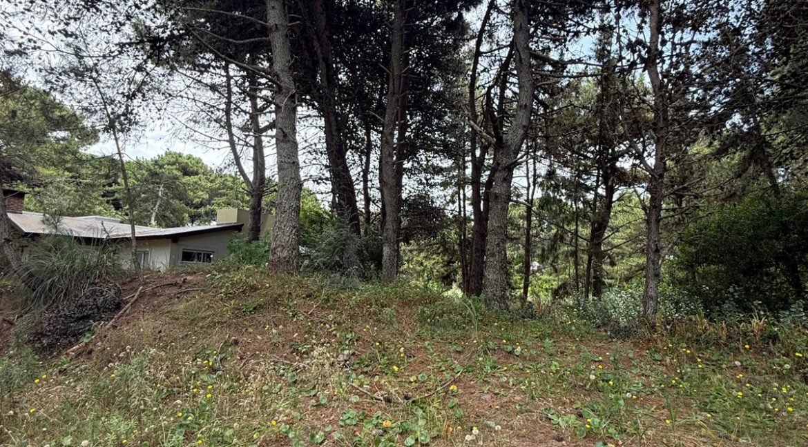 WhatsApp Image 2026-02-18 at 9.40.32 PM (1)