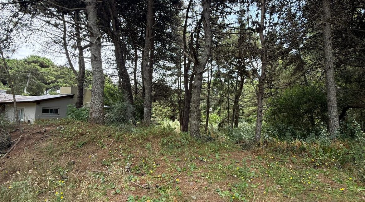 WhatsApp Image 2026-02-18 at 9.40.32 PM