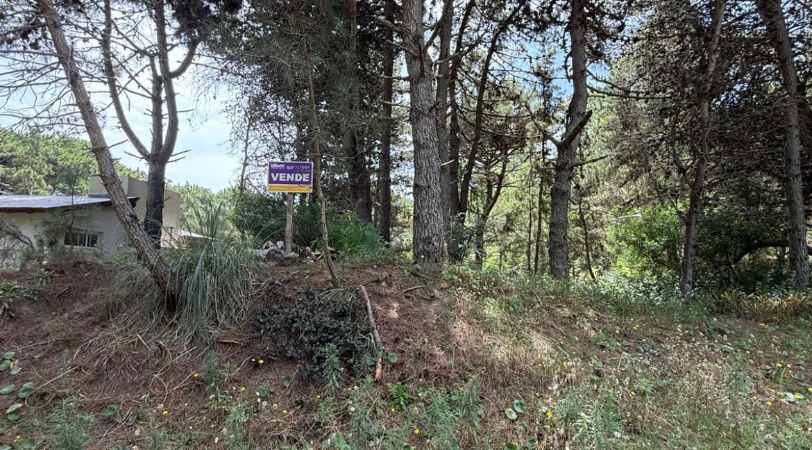 WhatsApp Image 2026-02-18 at 9.40.32 PM (2)