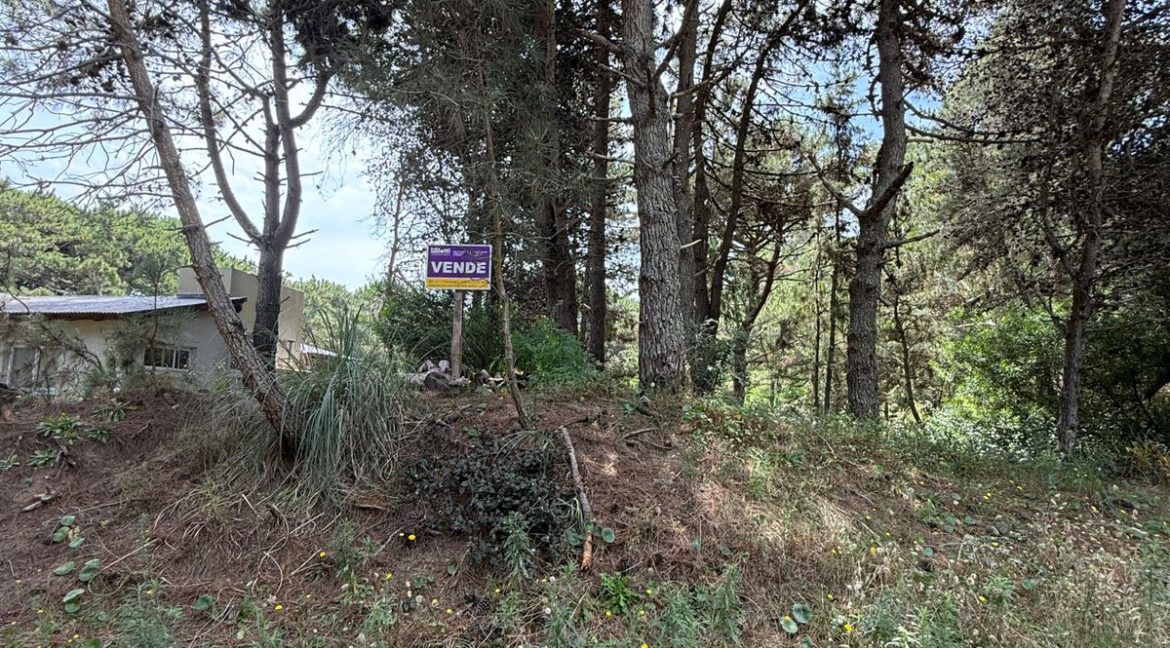 WhatsApp Image 2026-02-18 at 9.40.32 PM (3)