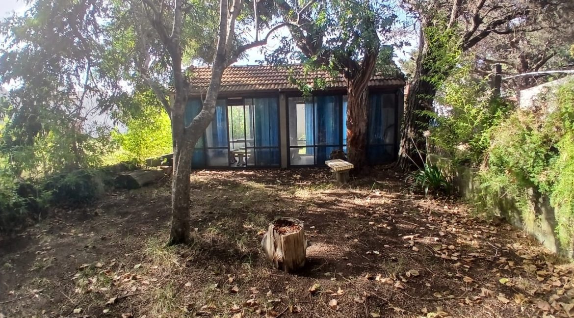 WhatsApp Image 2026-02-25 at 9.28.04 PM