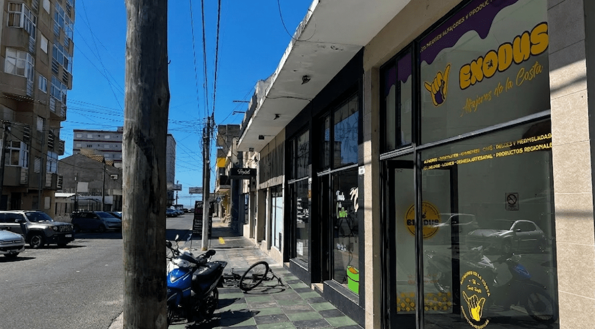 Gemini_Generated_Image_t4igq0t4igq0t4ig