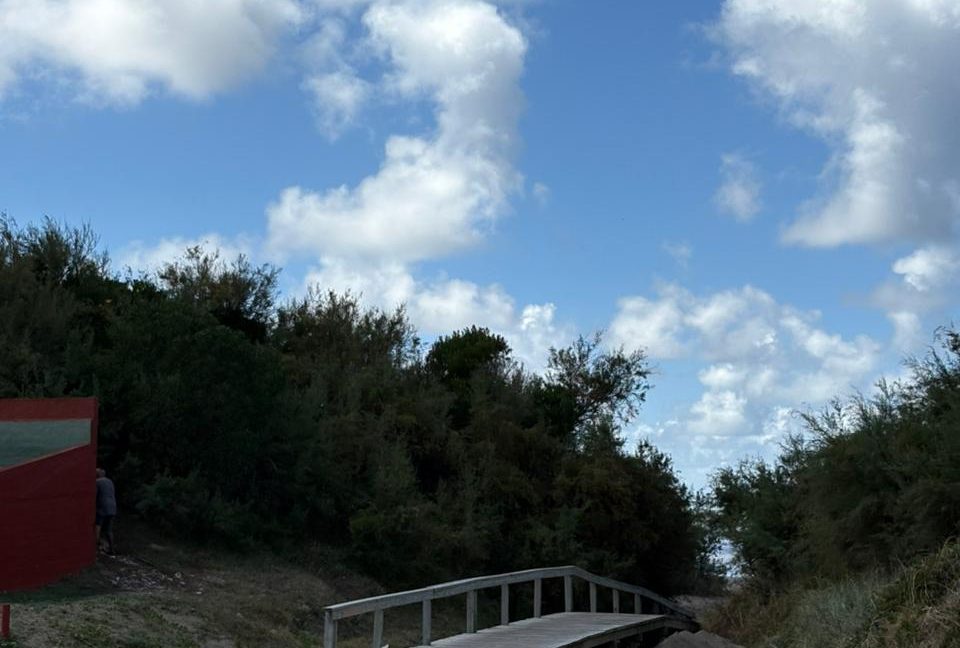 WhatsApp Image 2026-03-12 at 13.35.05 (2)