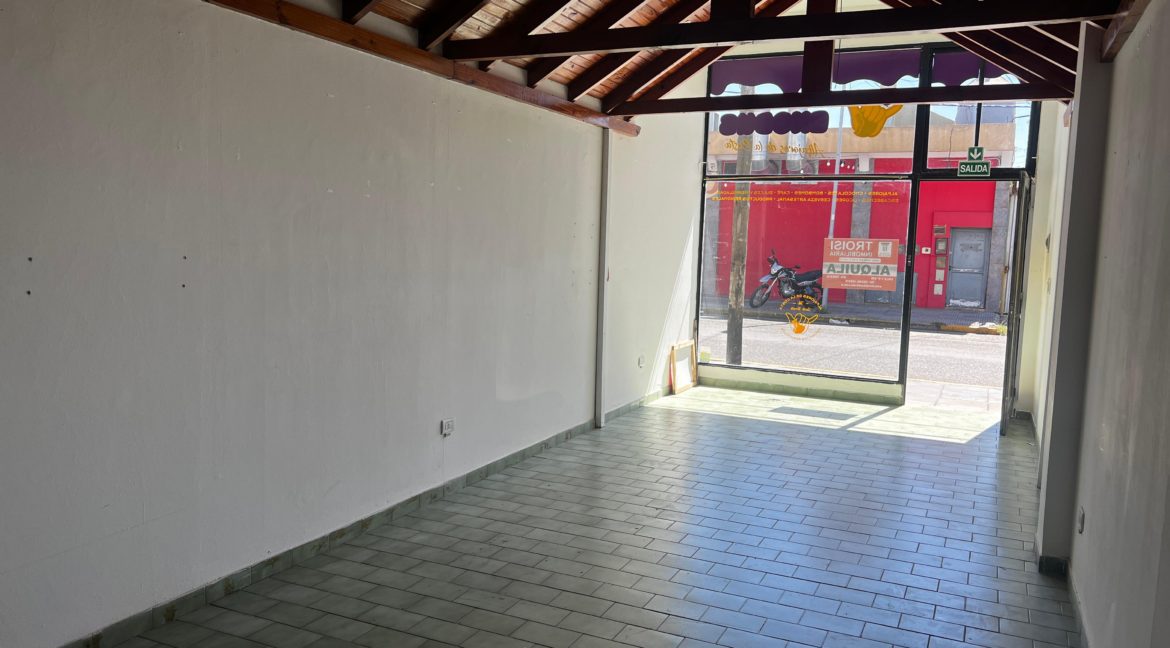 WhatsApp Image 2026-03-15 at 12.18.01 PM