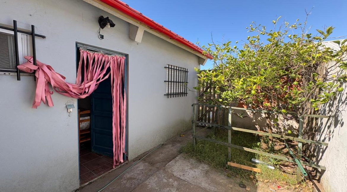 WhatsApp Image 2026-03-27 at 11.39.14 AM