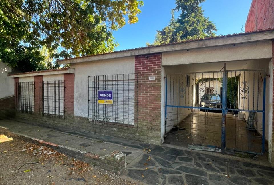 WhatsApp Image 2026-02-27 at 11.33.49