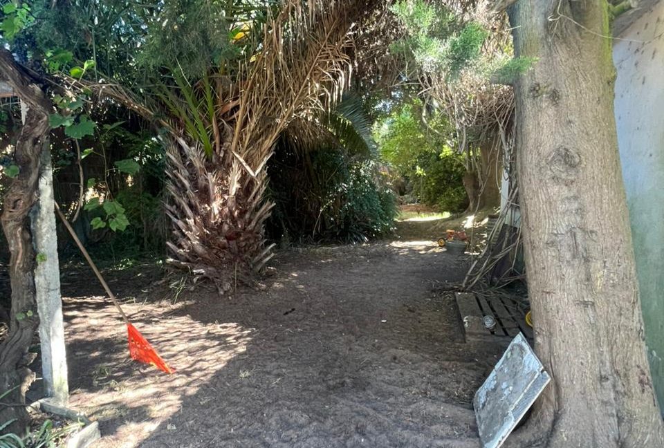 WhatsApp Image 2026-02-27 at 11.33.50 (2)