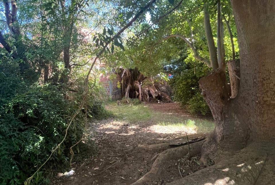 WhatsApp Image 2026-02-27 at 11.33.50 (3)