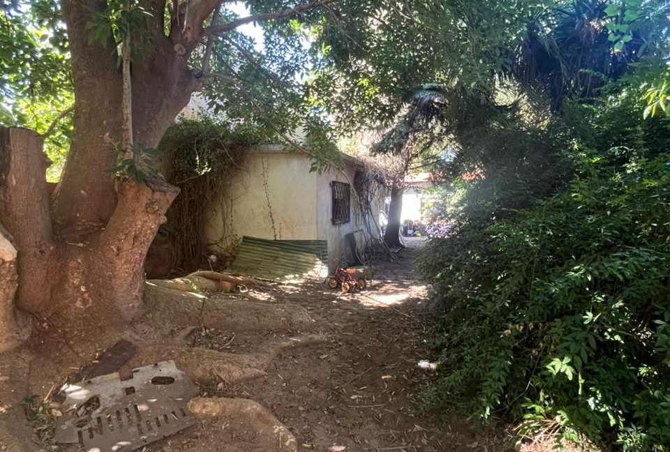 WhatsApp Image 2026-02-27 at 11.33.51 (1)