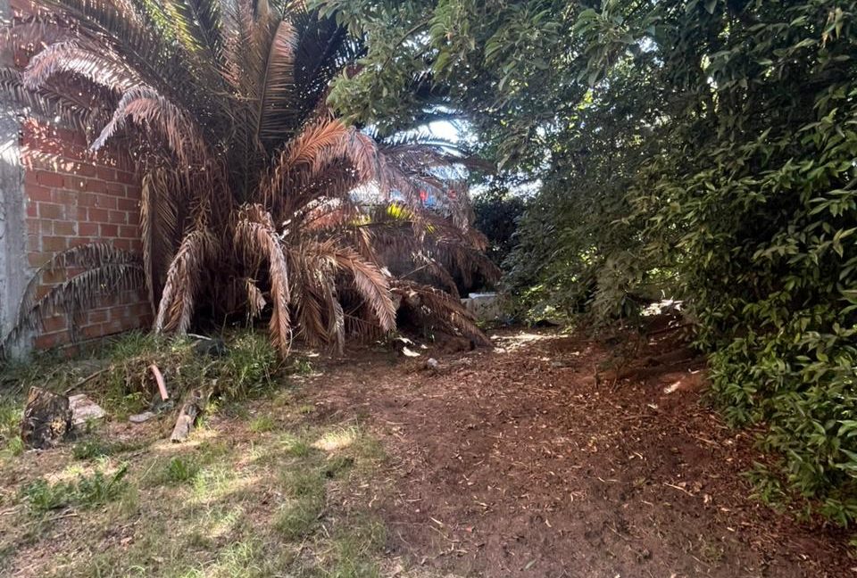 WhatsApp Image 2026-02-27 at 11.33.51