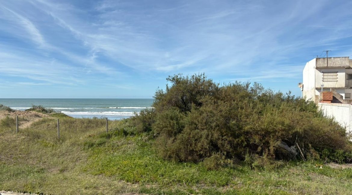 WhatsApp Image 2026-04-16 at 12.16.20 (2)